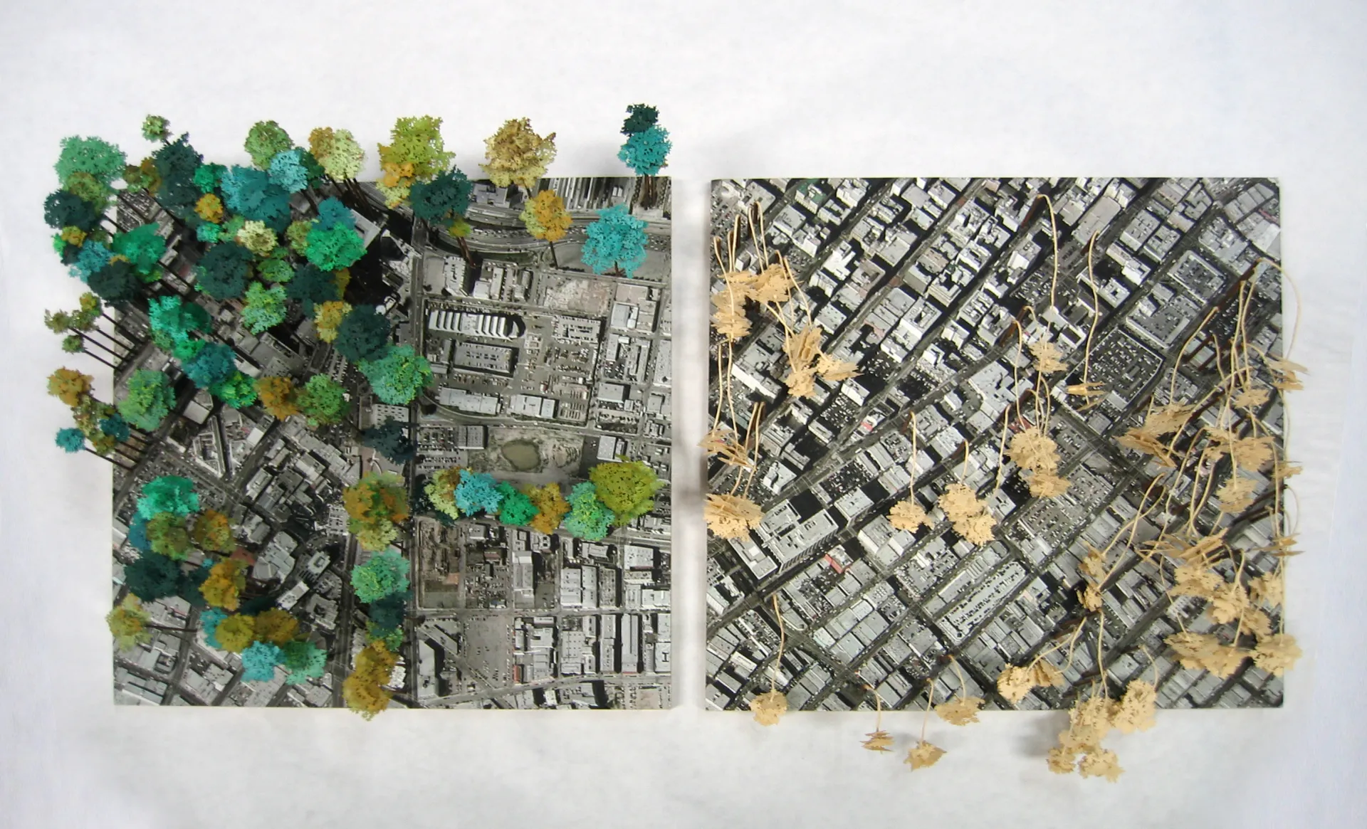 Art show celebrates cool contributions of LA trees | Green Blog